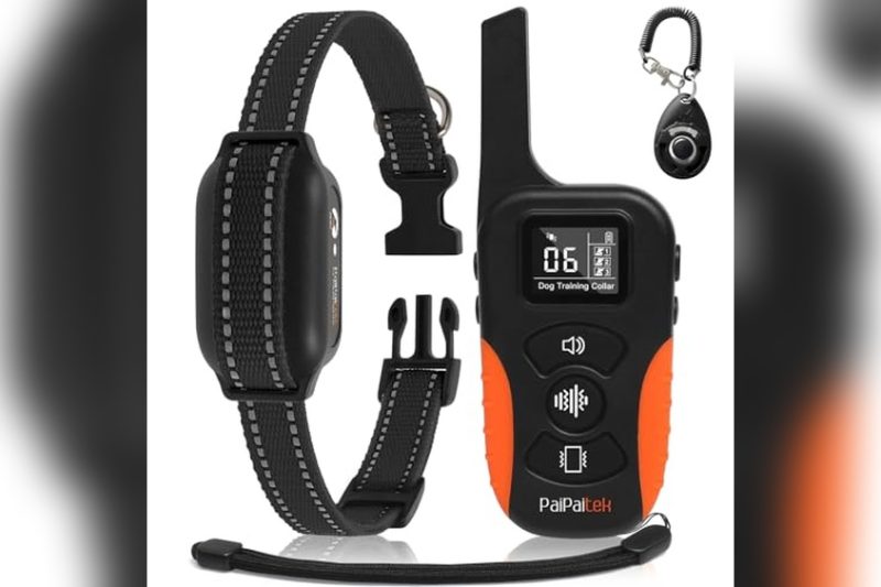 Best Vibration Collar For Small Dogs: Top Picks & Honest Review