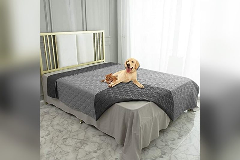 Best Waterproof Dog Bed Cover: Top Picks for Durability & Comfort