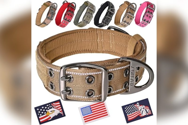 Best Wide Dog Collars: Top Picks for Comfort & Durability