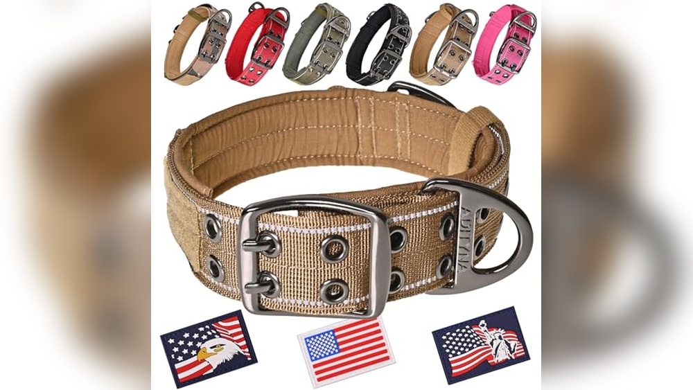 Best Wide Dog Collars