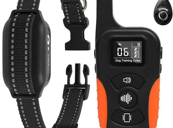 Top 3 Best Vibrating Dog Collars: Expert Picks for Training