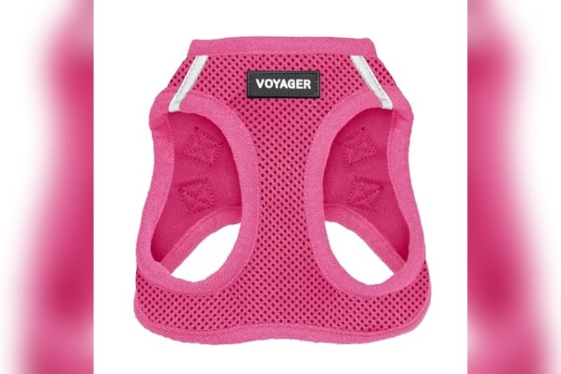 Top Small Best Dog Harness Reviews for Comfort & Safety