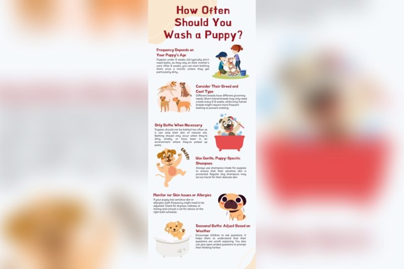 How To Bathe A Puppy: Easy Steps for a Stress-Free Wash