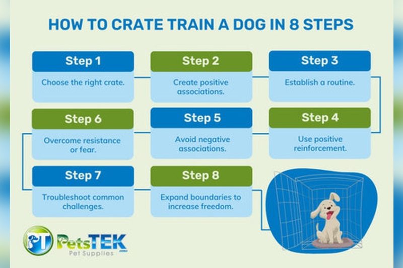How To Crate Train A Dog: Expert Tips for Fast Success