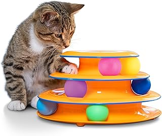 Top 10 Best Toys for a Cat 2026