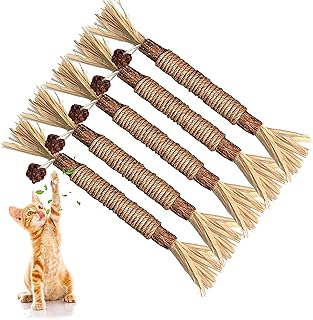 Most Popular 10 Best Dental Chews for Cats 2026