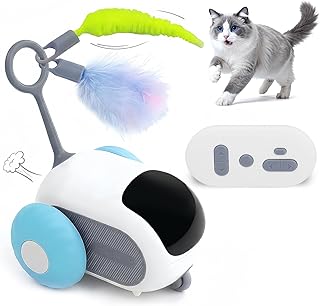 Top Rated 10 Best Remote Control Cat Toy 2026