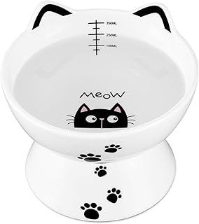 Most Popular 10 Best Cat Water Bowls in 2026 (Buyer’s Guide)